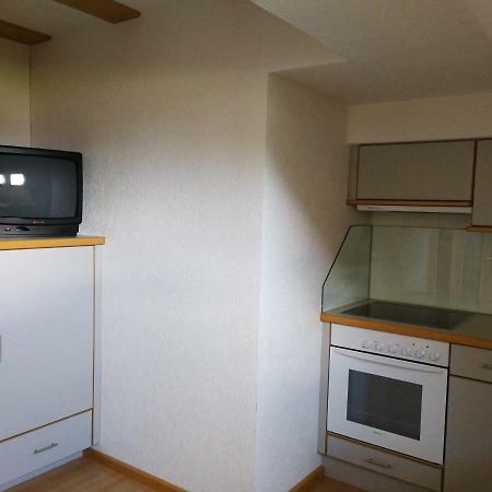 Haus Holzer Daire Kals-am Großglockner Dış mekan fotoğraf