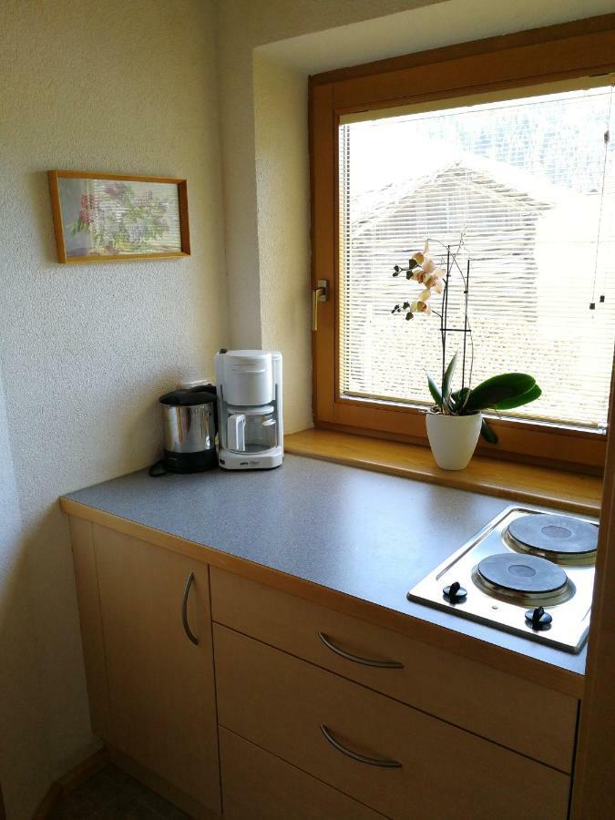 Haus Holzer Daire Kals-am Großglockner Dış mekan fotoğraf